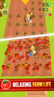 Little Farm Story скриншот 9