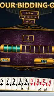 Aces Spades скриншот 13