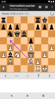 Chess Tactics Pro скриншот 5