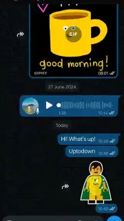 WhatsApp Business скриншот 10