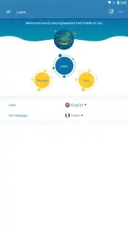Reverso Translation Dictionary скриншот 15