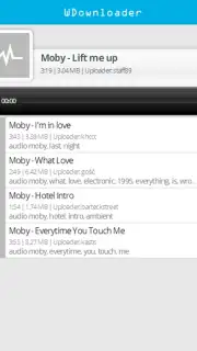 WDownloader скриншот 4