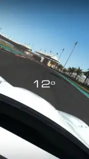 GRID™ Autosport Custom Edition скриншот 1