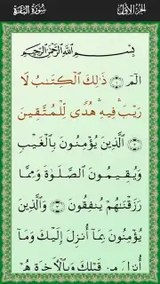 Al-Quran (Free) скриншот 2