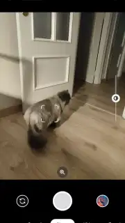 Camera Go скриншот 3