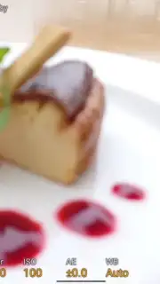 Videography Pro скриншот 3