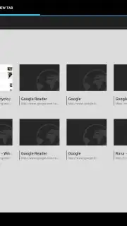 Tint Browser скриншот 2