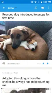 Reddit скриншот 7