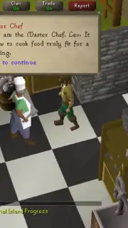 Old School RuneScape скриншот 4