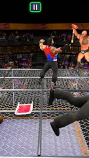 Real World Wrestling Arena скриншот 3