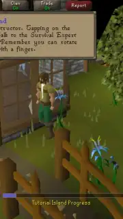 Old School RuneScape скриншот 1
