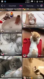 Meipai скриншот 10
