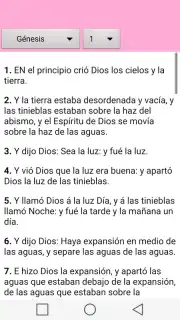 Santa Biblia para la Mujer скриншот 4
