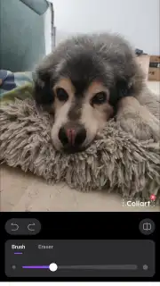CollartAI скриншот 6