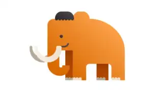 DuoCards - Vocabulary Builder