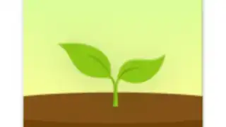 Forest: Stay Focused