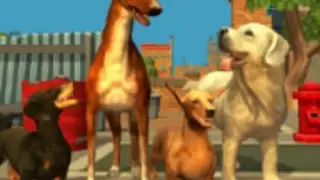 Doggy Dog Universe