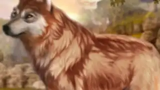 The Wild Wolf Animal Simulator