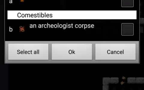 UnNetHack скриншот 2