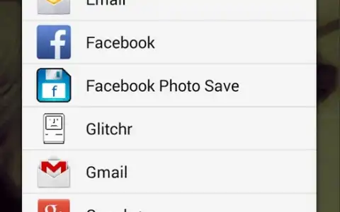 Facebook Photo Downloader скриншот 2
