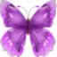Butterfly Flower for DoodleTex