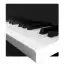 My Piano Assistant