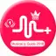 Musical.ly 2019 Guide