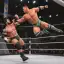 Tag Team Wrestling Games: Mega Cage Ring Fighting