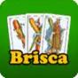 Briscados