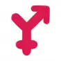 Yareel 2.0